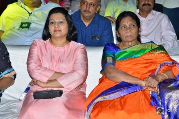 Naa Peru Surya Naa Illu India Pre Release Event Photos